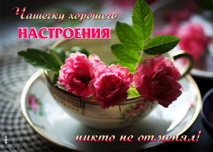 Postcard милая открытка чашечку хорошего настроения никто не отменял