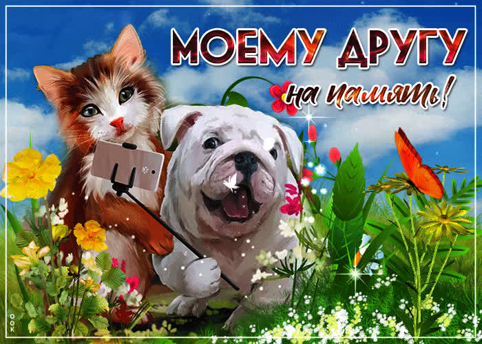 Картинка моему другу на память