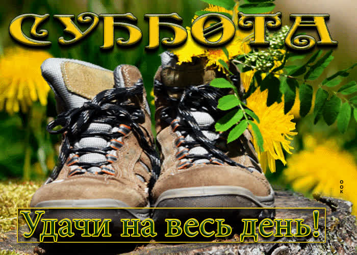 Postcard необычная открытка суббота удачи на весь день!