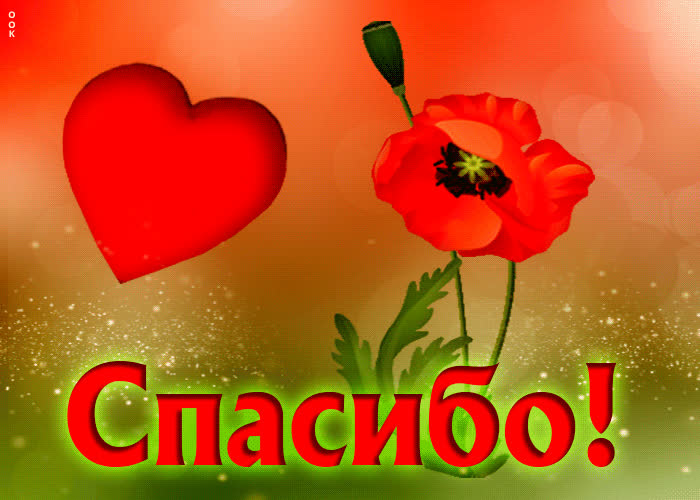 Postcard неординарная открытка с маком спасибо