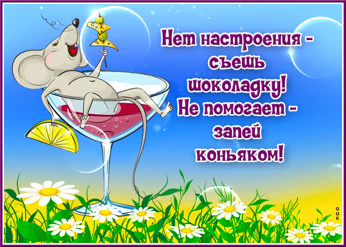 Picture нет настроения - съешь шоколадку! не помогает - запей коньяком!