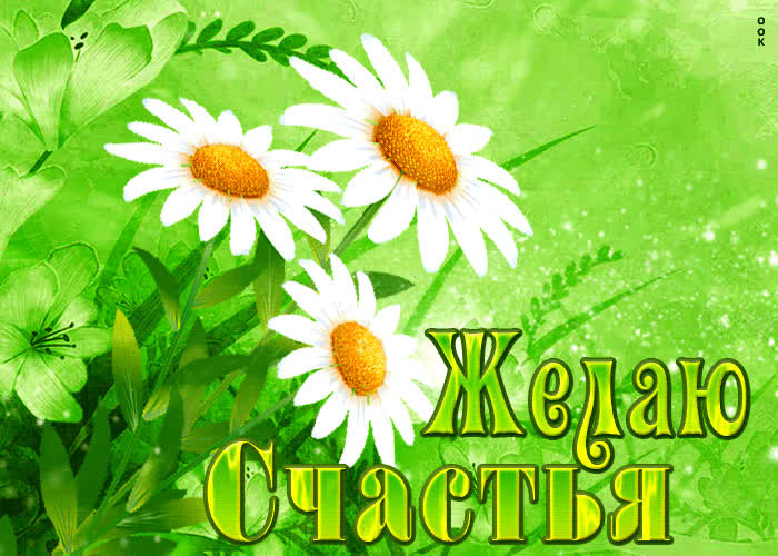 Картинка нежная открытка желаю счастья с ромашками