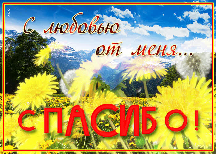Картинка нежной и красивой спасибо говорю