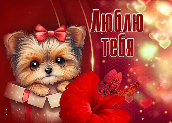 Picture нежная и ласковая открытка люблю тебя