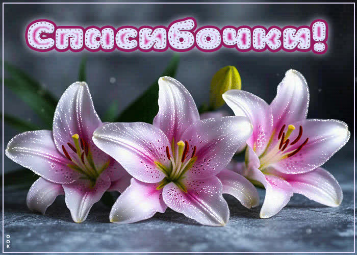 Postcard нежная и трогательная гиф-открытка спасибочки