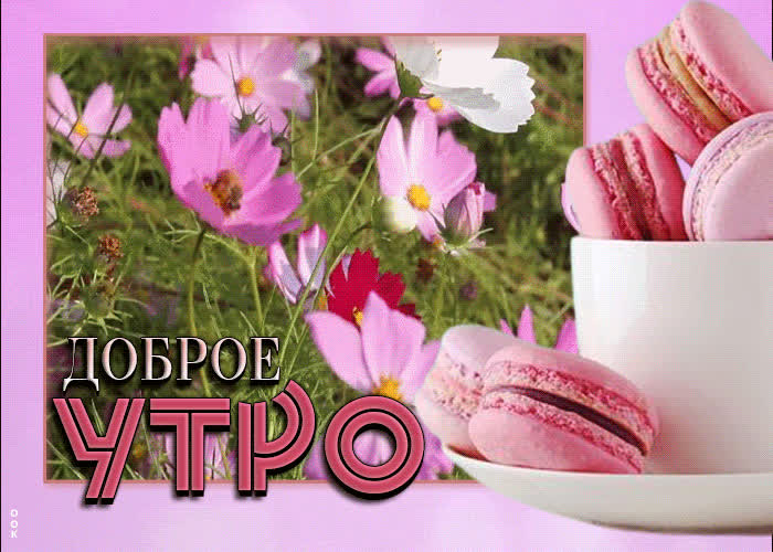 Postcard нежная открытка доброе утро! с маскарпоне