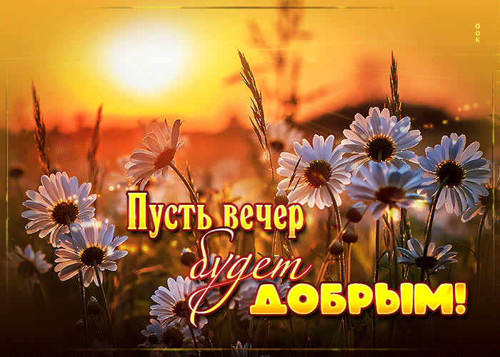 Postcard нежная открытка пусть вечер будет добрым