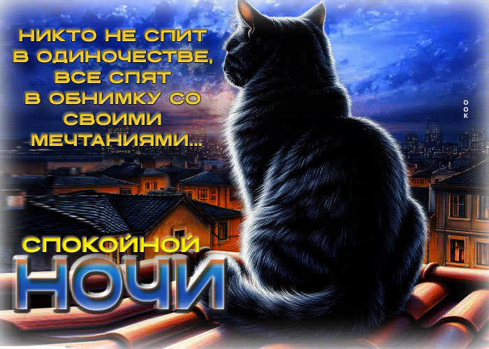 Picture никто не спит в одиночестве, все спят в обнимку со своими мечтаниями