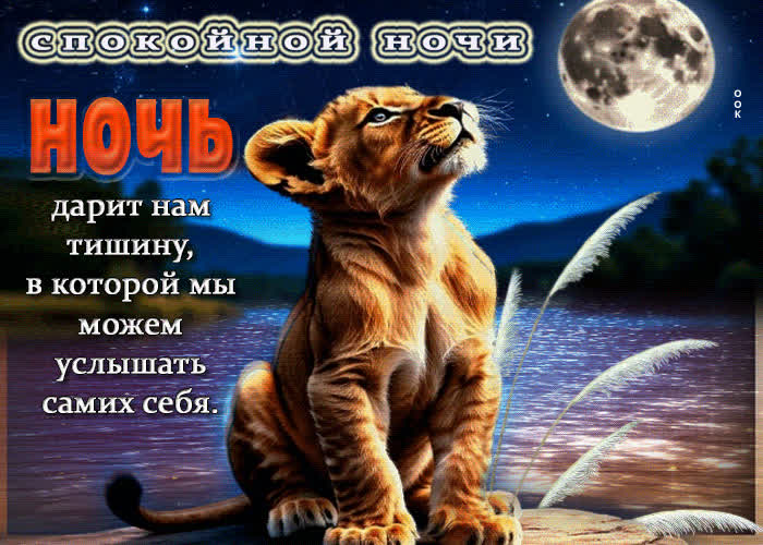 Picture ночь дарит нам тишину, в которой мы можем услышать самих себя