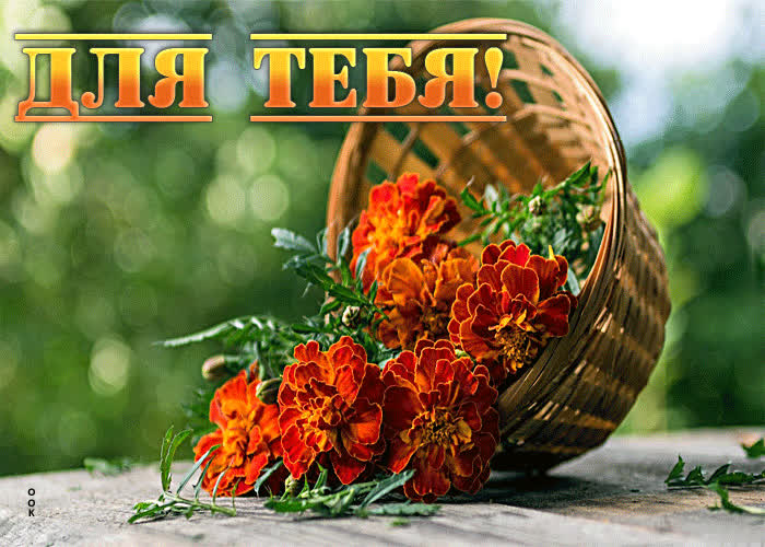 Picture обворожительная открытка с цветочками для тебя
