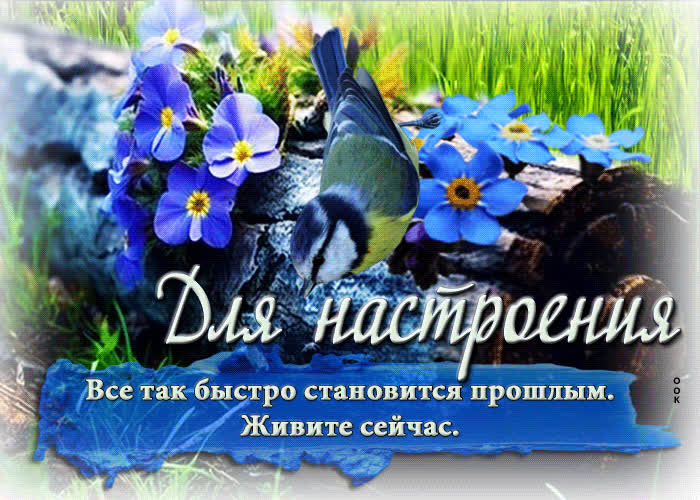 Postcard очаровательная и чарующая гиф-открытка для настроения