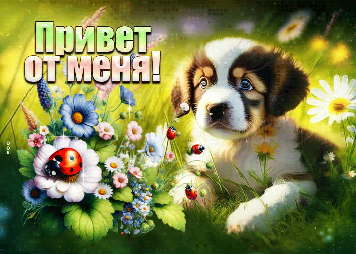 Picture очаровательная и легкая открытка привет от меня
