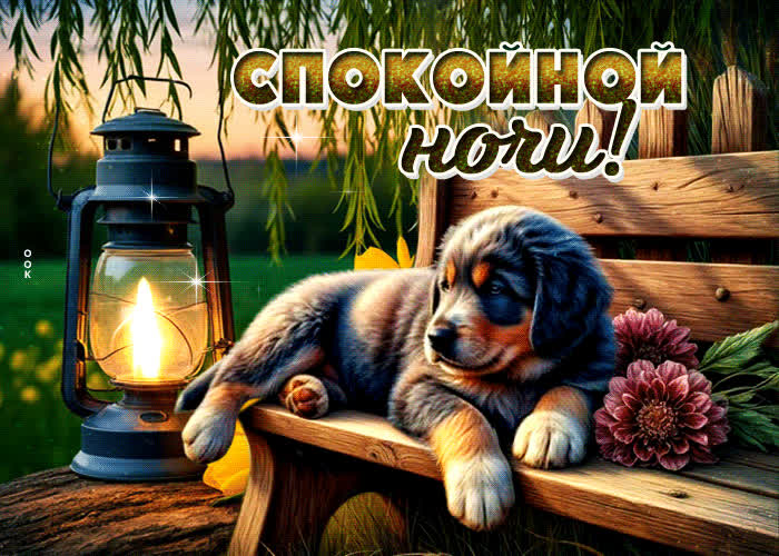 Postcard очаровательная и лёгкая гиф-открытка спокойной ночи
