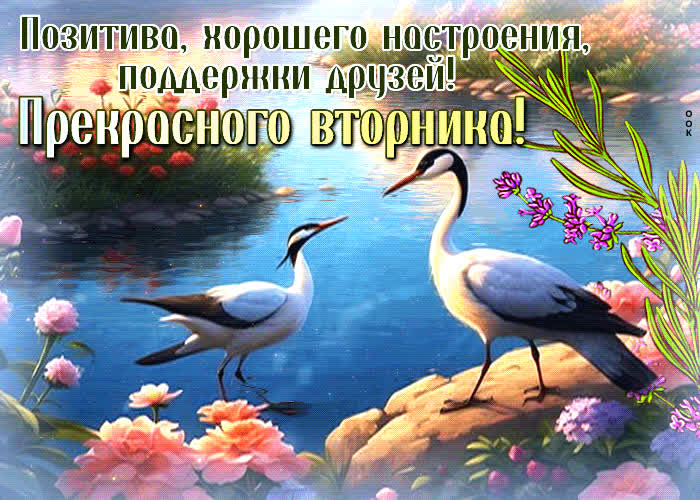 Picture очаровательная и теплая открытка прекрасного вторника!