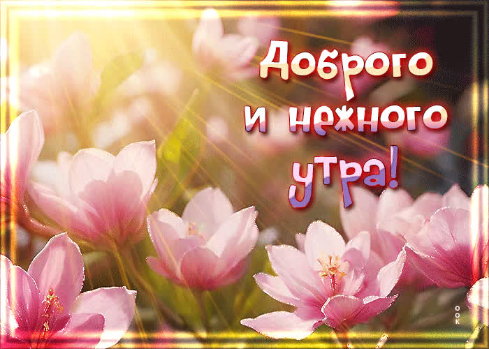 Postcard очаровательная открытка доброго и нежного утра