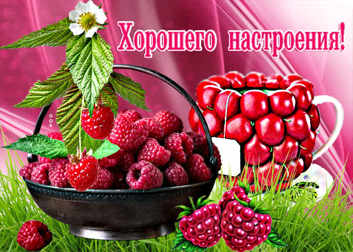 Postcard очаровательная открытка хорошего настроения! с малиной