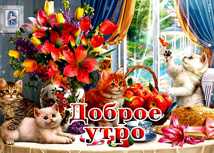 Открытка очаровательная открытка доброе утро с котятами