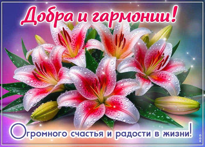 Postcard огромного счастья и радости в жизни! добра и гармонии