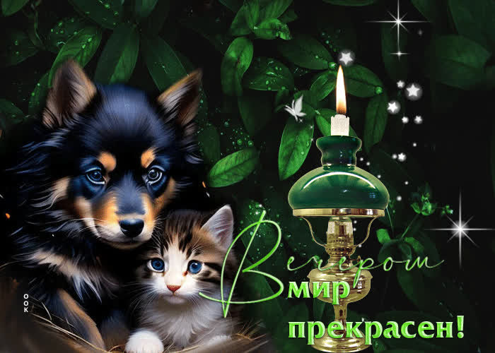 Picture оригинальная гиф-открытка вечером мир прекрасен
