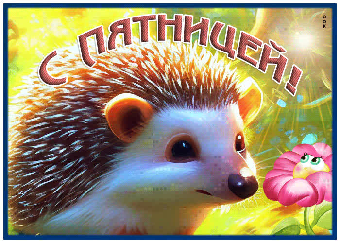 Postcard оригинальная и необычная гиф-открытка с ежиком с пятницей