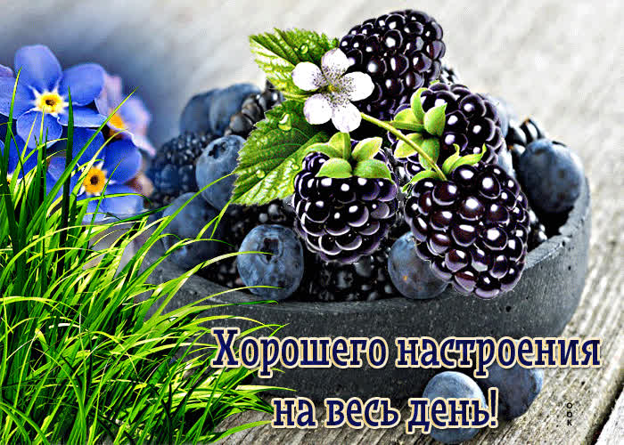 Postcard оригинальная открытка хорошего настроения на весь день!