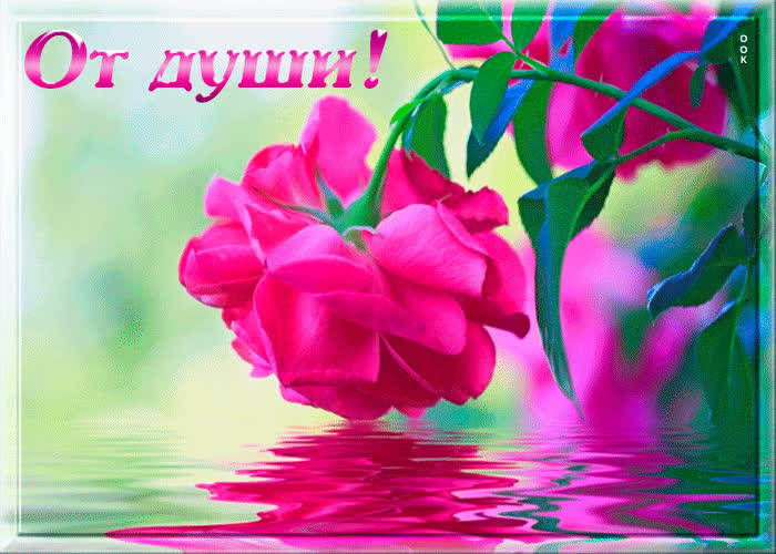 Картинка от души тебе цветочек