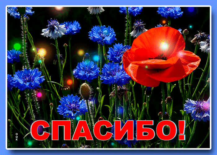 Картинка от души вас благодарю