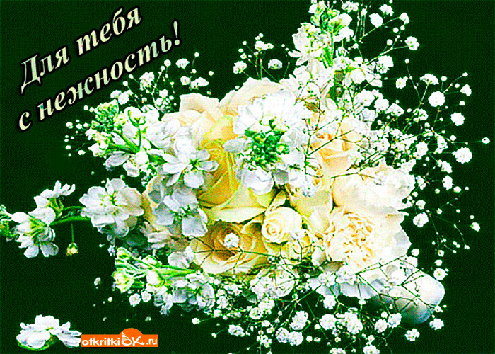 Картинка картинка прекрасному человеку