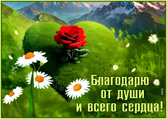 Picture открытка благодарю от всей души и от сердца