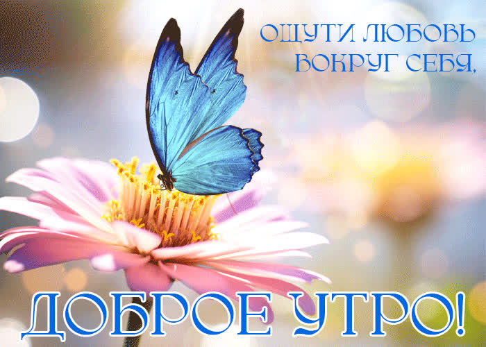 Picture открытка доброе утро! ощути любовь вокруг себя