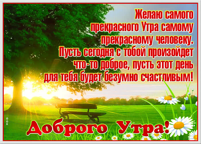 Картинка открытка доброе утро с красивыми словами
