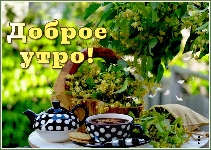 Картинка открытка доброе утро с липой