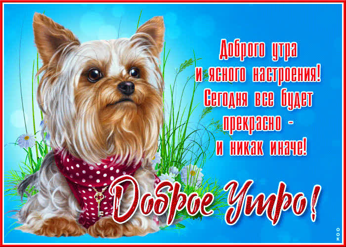 Картинка открытка доброго утра и ясного настроения