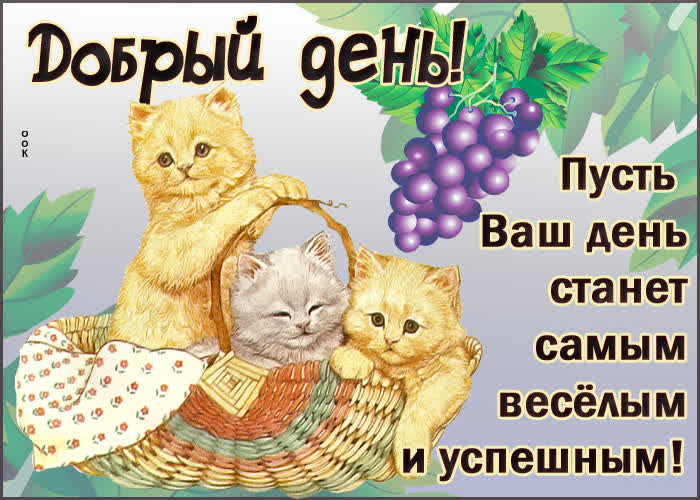 Картинка картинка добрый день с котиками