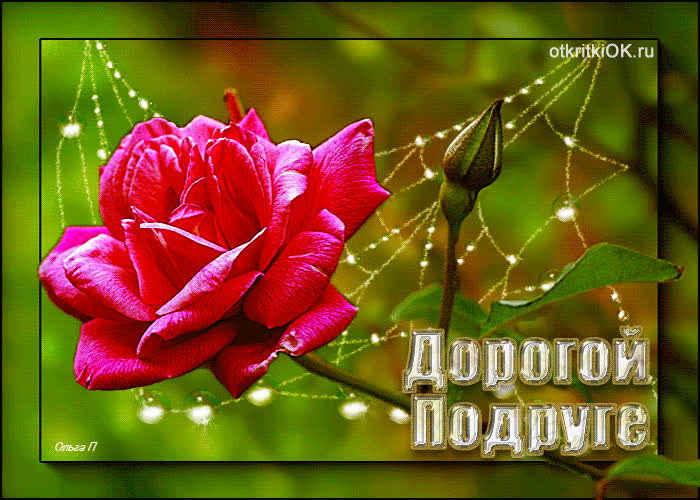 Картинка картинка дорогой подруге