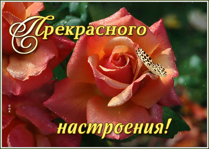 Картинка музыкальная картинка хорошего настроения