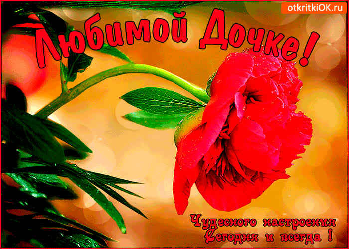 Картинка картинка любимой дочке