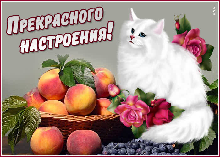 Картинка картинка прекрасного настроения