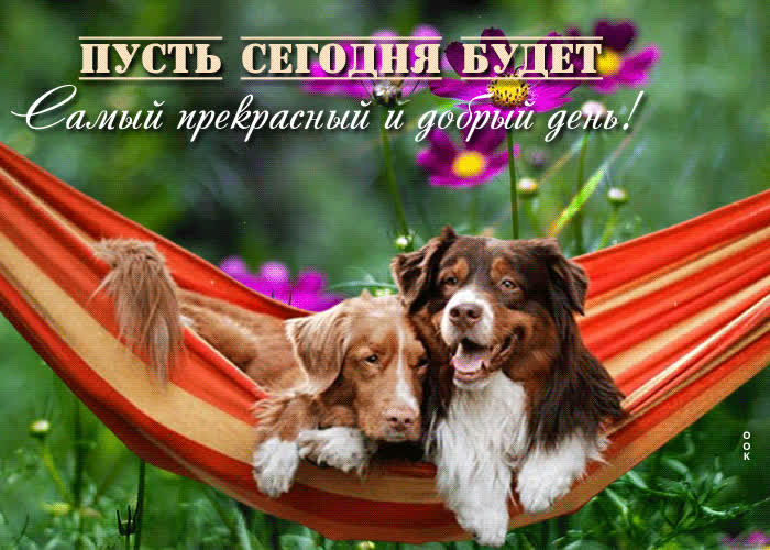 Picture открытка пусть сегодня будет самый прекрасный и добрый день!
