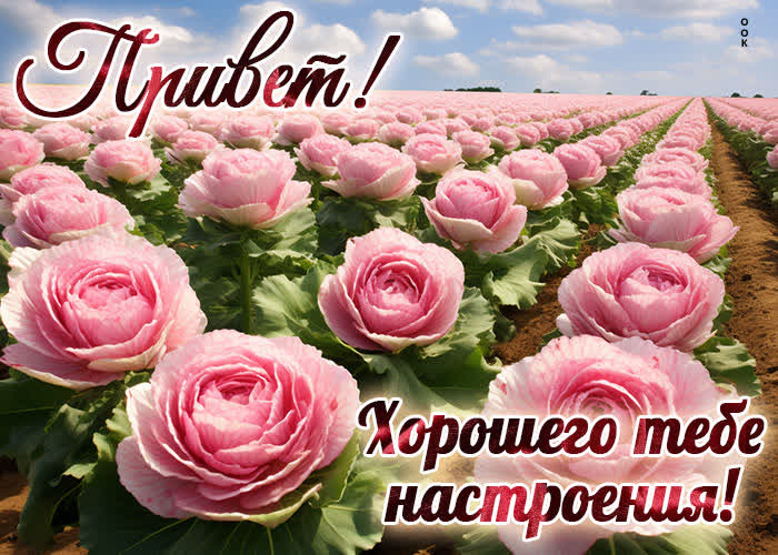Postcard открытка с цветами привет! хорошего тебе настроения