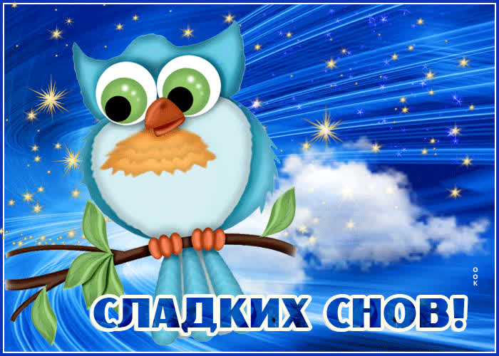 Картинка открытка сладких снов с совой
