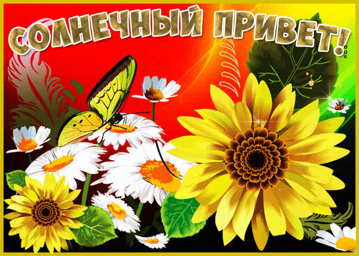 Картинка картинка солнечный привет