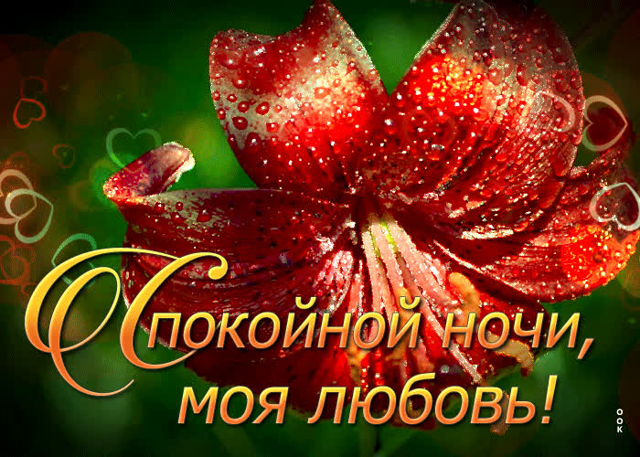 Открытка открытка спокойной ночи моя любовь