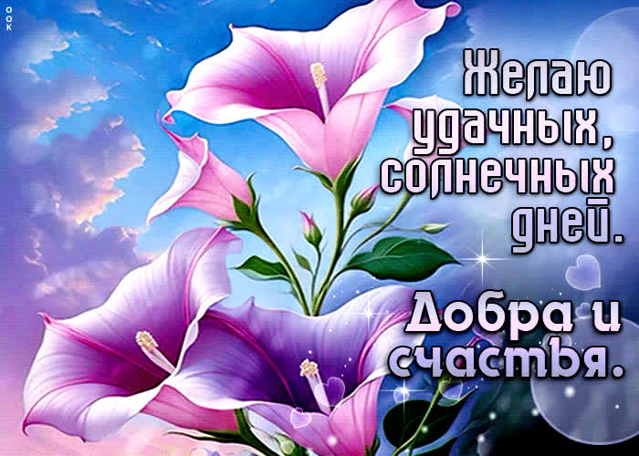 Picture открытка желаю удачных солнечных дней. добра и счастья