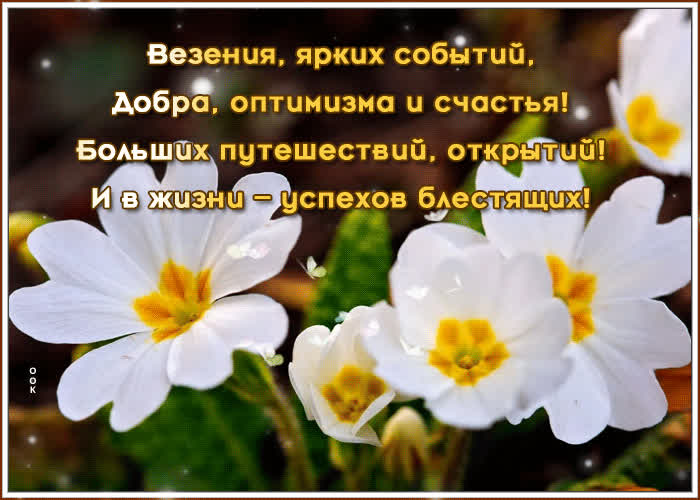 Картинка наилучшие пожелания
