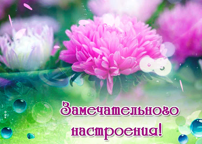 Картинка отличного настроения друг мой