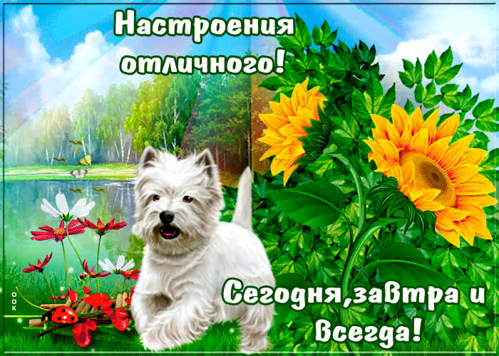 Картинка отличного настроения всегда