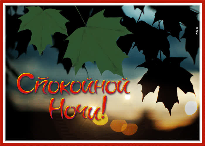 Picture отличная открытка с листвой спокойной ночи!