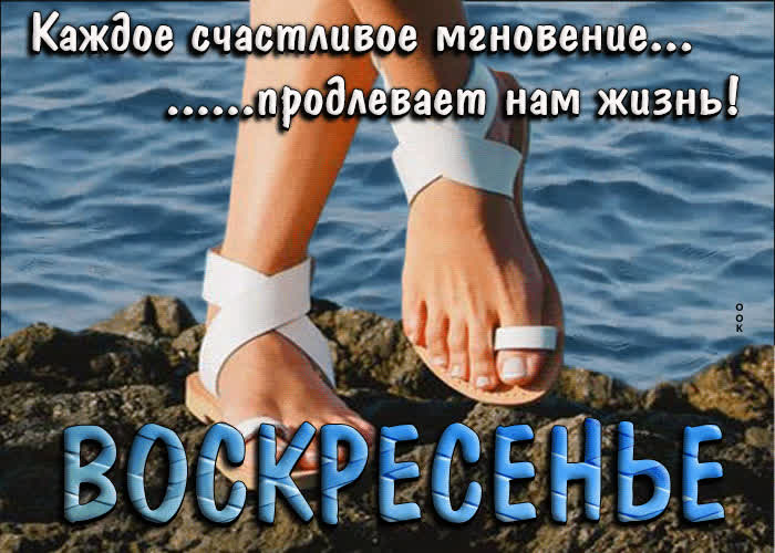 Postcard отличная открытка с морем воскресенье!