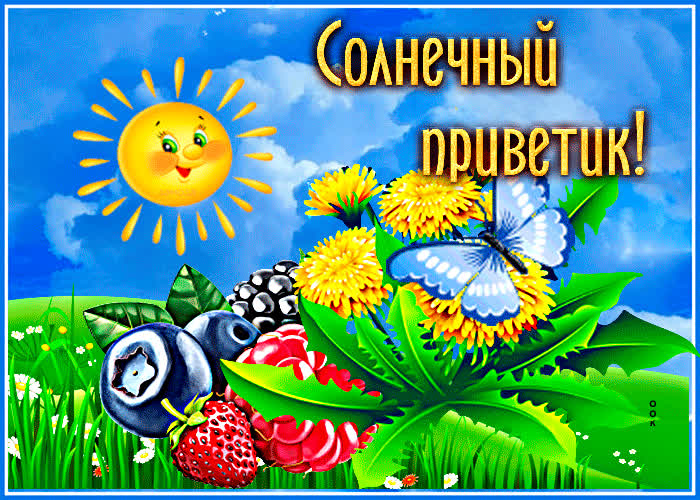 Postcard отличная открытка солнечный приветик!